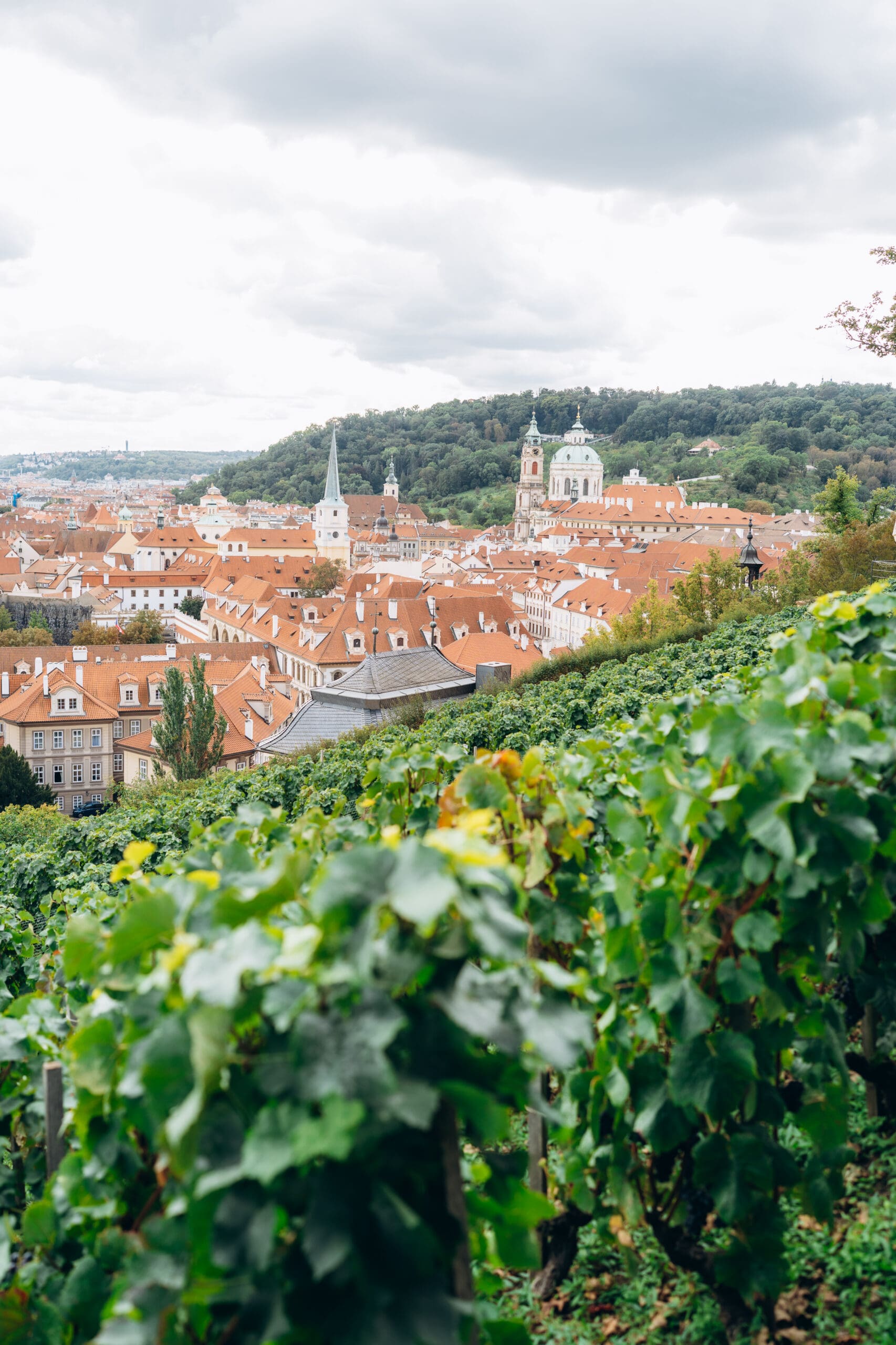 svatba villa richter svatováclavská vinice fotila jana jezberová praha